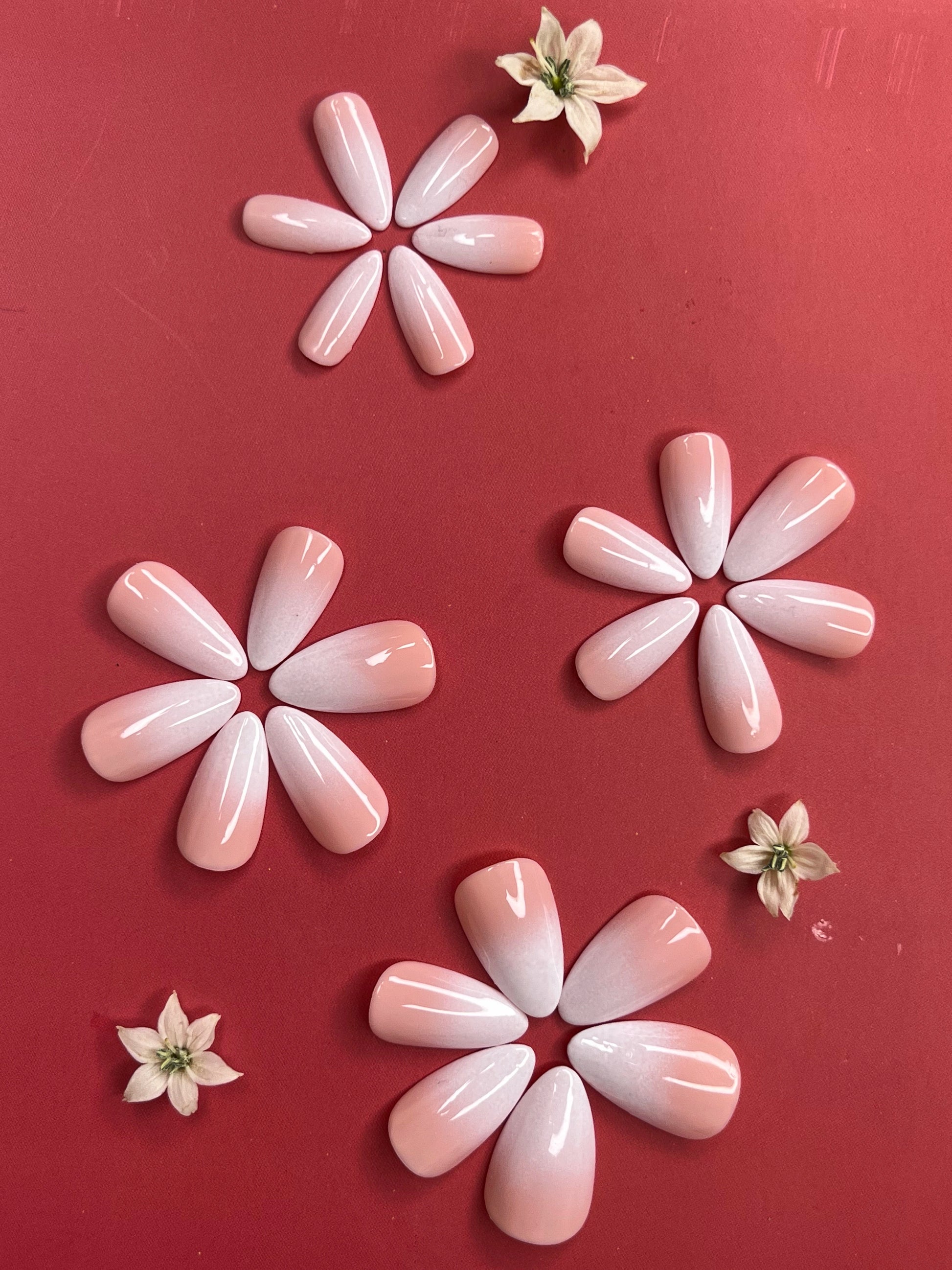 pink and white ombre press on fake nails online in India