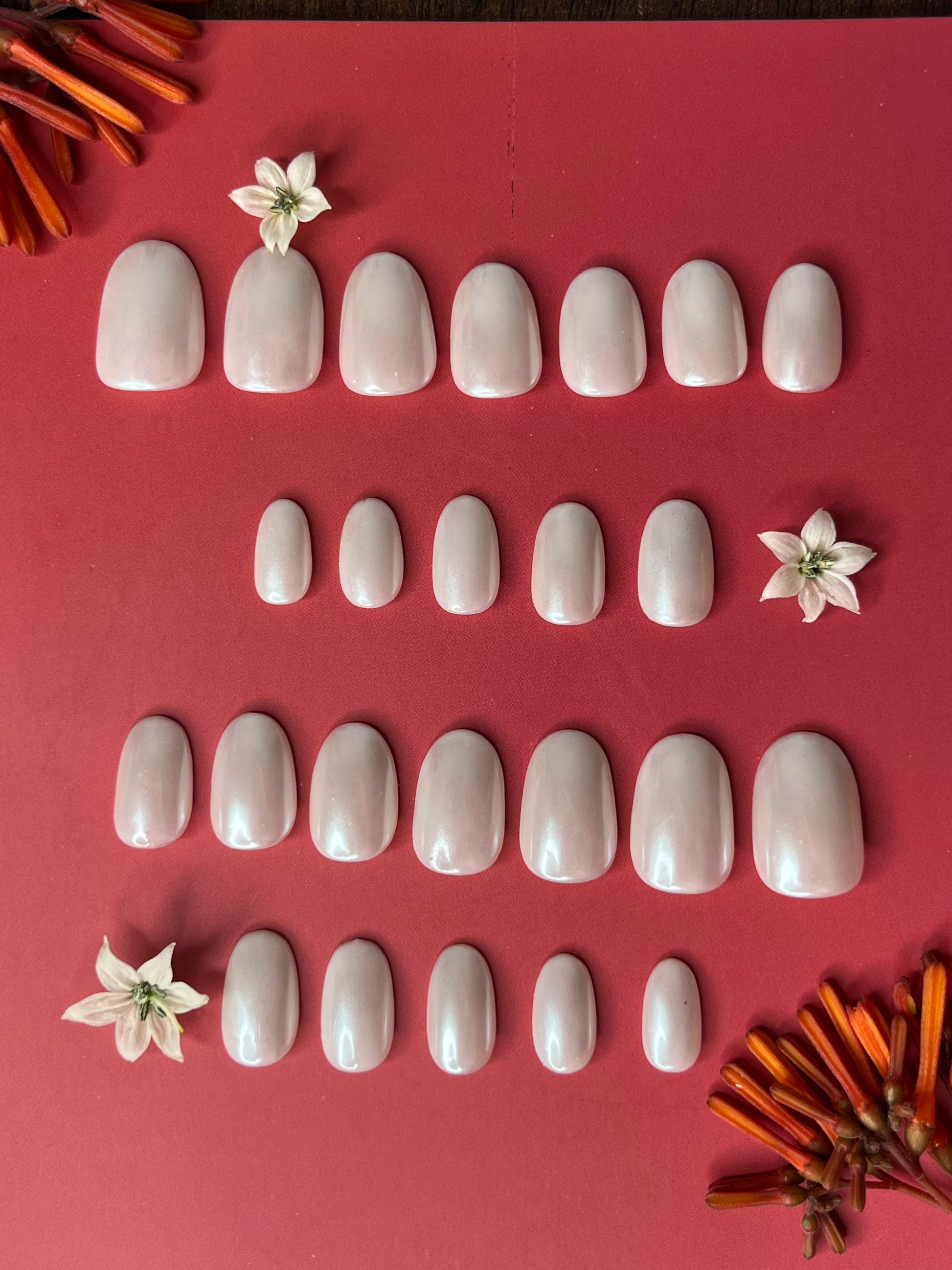 You will get 24 white silver chrome fake nails in this kit